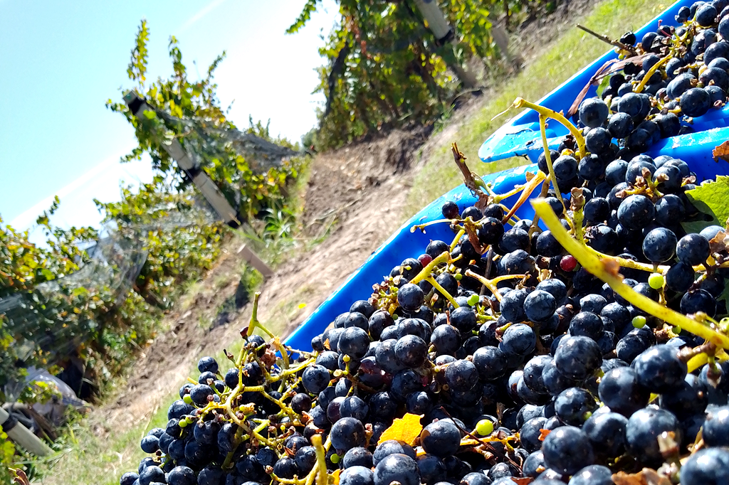 A La Par RE Mendoza Argentina