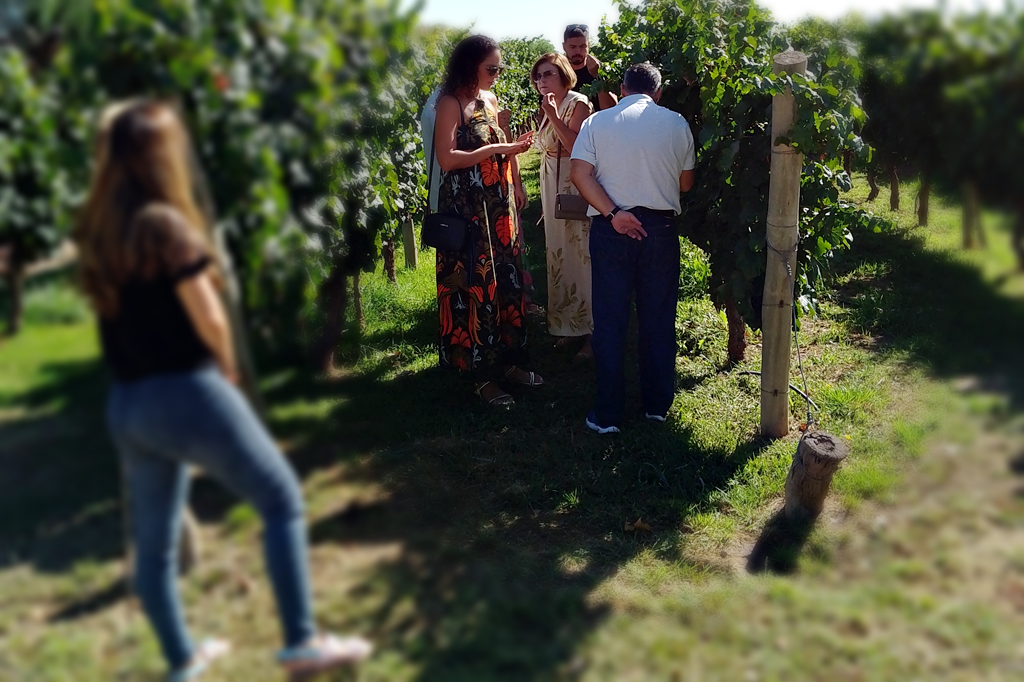 A La Par RE Mendoza Argentina